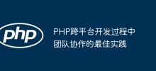 PHP 크로스 플랫폼 개발의 팀 협업 모범 사례