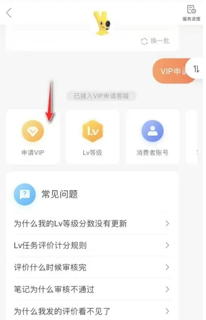 大众点评vip怎么开通 vip开通的操作方法