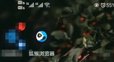 狐猴浏览器桌面模式怎么设置 桌面模式设置方法
