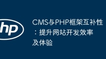 Complementarity between CMS and PHP framework: improving website development efficiency and experience