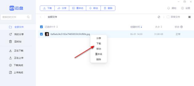 123云盘怎么下载文件 下载文件的操作方法