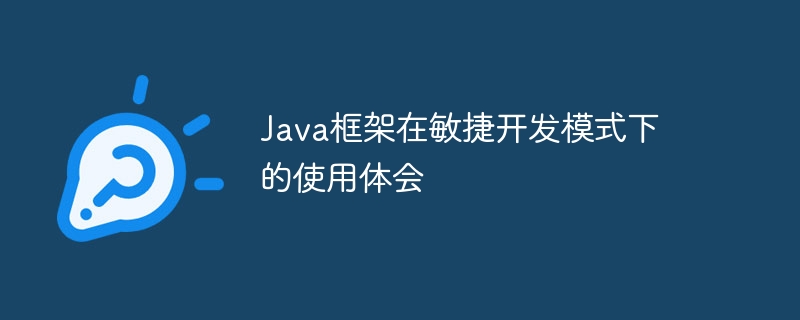 Agile 개발 모드에서 Java 프레임워크를 사용한 경험