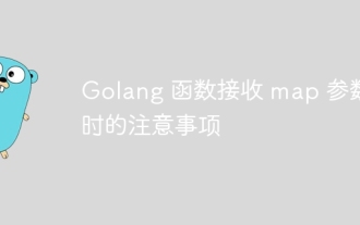 Things to note when Golang functions receive map parameters