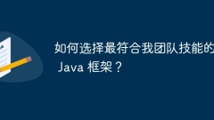 如何选择最符合我团队技能的 Java 框架?