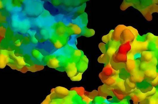 SOTA-Leistung, mehrskaliges Lernen, Sun Yat-sen-Universität schlägt KI-Framework für Protein-Arzneimittel-Interaktion vor