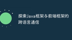 Explore cross-language communication between Java frameworks and front-end frameworks
