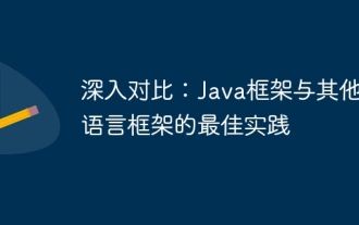 深入对比:Java框架与其他语言框架的最佳实践
