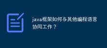 Java フレームワークは他のプログラミング言語とどのように連携しますか?