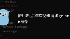 使用断点和监视器调试golang框架