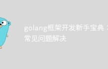 golang框架开发新手宝典：常见问题解决