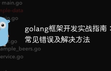 golang框架开发实战指南：常见错误及解决方法