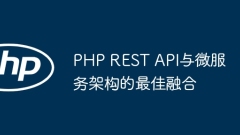 PHP REST API とマイクロサービス アーキテクチャの最適な統合