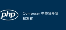 Composer 中的套件開發與發布