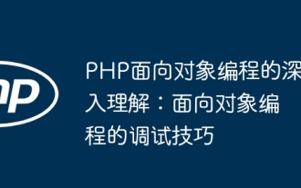 PHP 객체 지향 프로그래밍에 대한 심층적인 이해: 객체 지향 프로그래밍을 위한 디버깅 기술