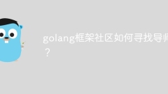 golang フレームワーク コミュニティはどのようにしてメンターを見つけますか?