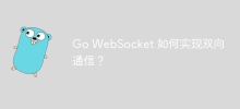 Go WebSocket 如何實現雙向通訊？