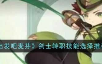 'Let's Go McFen' Recommended Skills for Swordsman's Job Change