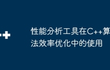 性能分析工具在C++算法效率优化中的使用