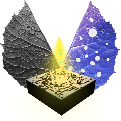 To improve the utilization of optical data sets, the Tianda team proposed an AI model to enhance spectral prediction effects