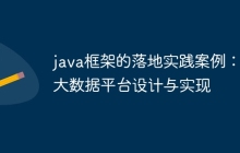 java框架的落地实践案例:大数据平台设计与实现