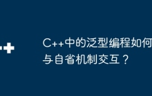 C++中的泛型编程如何与自省机制交互？