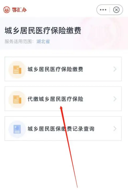 鄂汇办怎么代缴儿童医保