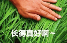 《剑网3无界》实现15年数据端手游互通，玩家馋哭了！喊话自家MMO好好学