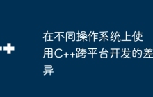 在不同操作系统上使用C++跨平台开发的差异