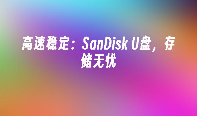 高速穩定：SanDisk USB，儲存無憂