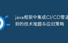java框架中集成CI/CD管道遇到的技术难题与应对策略