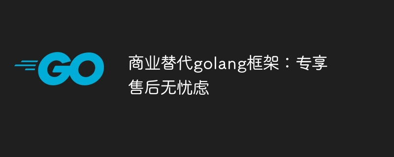 商业替代golang框架：专享售后无忧虑