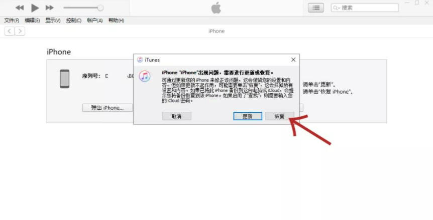 iphone突然黑屏?3种方法解决问题!