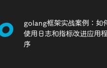 golang框架实战案例：如何使用日志和指标改进应用程序