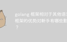 golang 框架相对于其他语言框架的优势对新手有哪些影响？