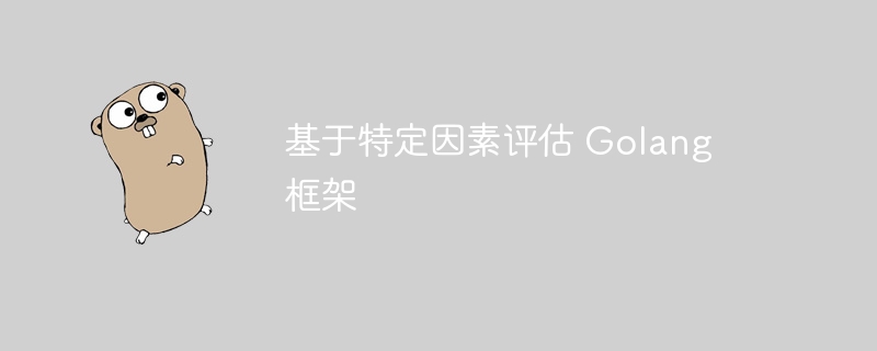 基于特定因素评估 Golang 框架