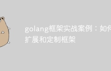 golang框架实战案例：如何扩展和定制框架
