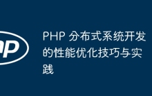 PHP 分布式系统开发的性能优化技巧与实践