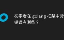 初学者在 golang 框架中常见错误有哪些？
