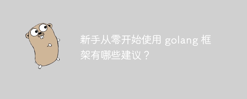 新手从零开始使用 golang 框架有哪些建议？