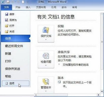 word2010文档里使用键入时检查拼写功能的详细方法