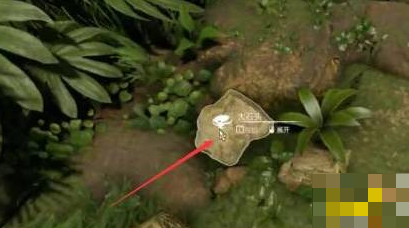 丛林地狱怎么挖石头 丛林地狱green hell石头怎么开采 石头开采方法攻略