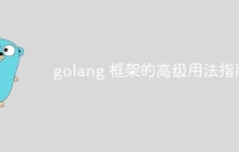 golang 框架的高级用法指南