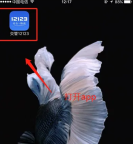 交管12123驾驶证怎么停止使用 驾驶证停止使用恢复的方法