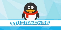 qq共同好友怎么查看 共同好友查看方法