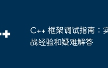 C++ 框架调试指南：实战经验和疑难解答