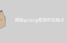 揭秘golang框架的优缺点