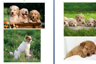 Comment numéroter automatiquement les images dans Word_Cette fonction peut vous aider