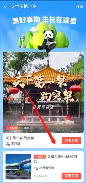 支付宝地下室慢直播怎么进入 支付宝地下室慢直播进入方式