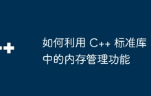 如何利用 C++ 标准库中的内存管理功能
