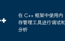 在 C++ 框架中使用内存管理工具进行调试和分析